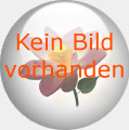 Blï¿½tenbilder - Seelenbilder